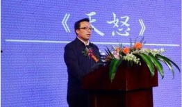 电视剧天怒在线观看,揭秘暗流涌动的复仇风云